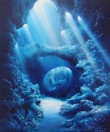 Homo delphinus